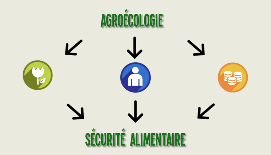 Les Normes Globales de Sécurité Alimentaire